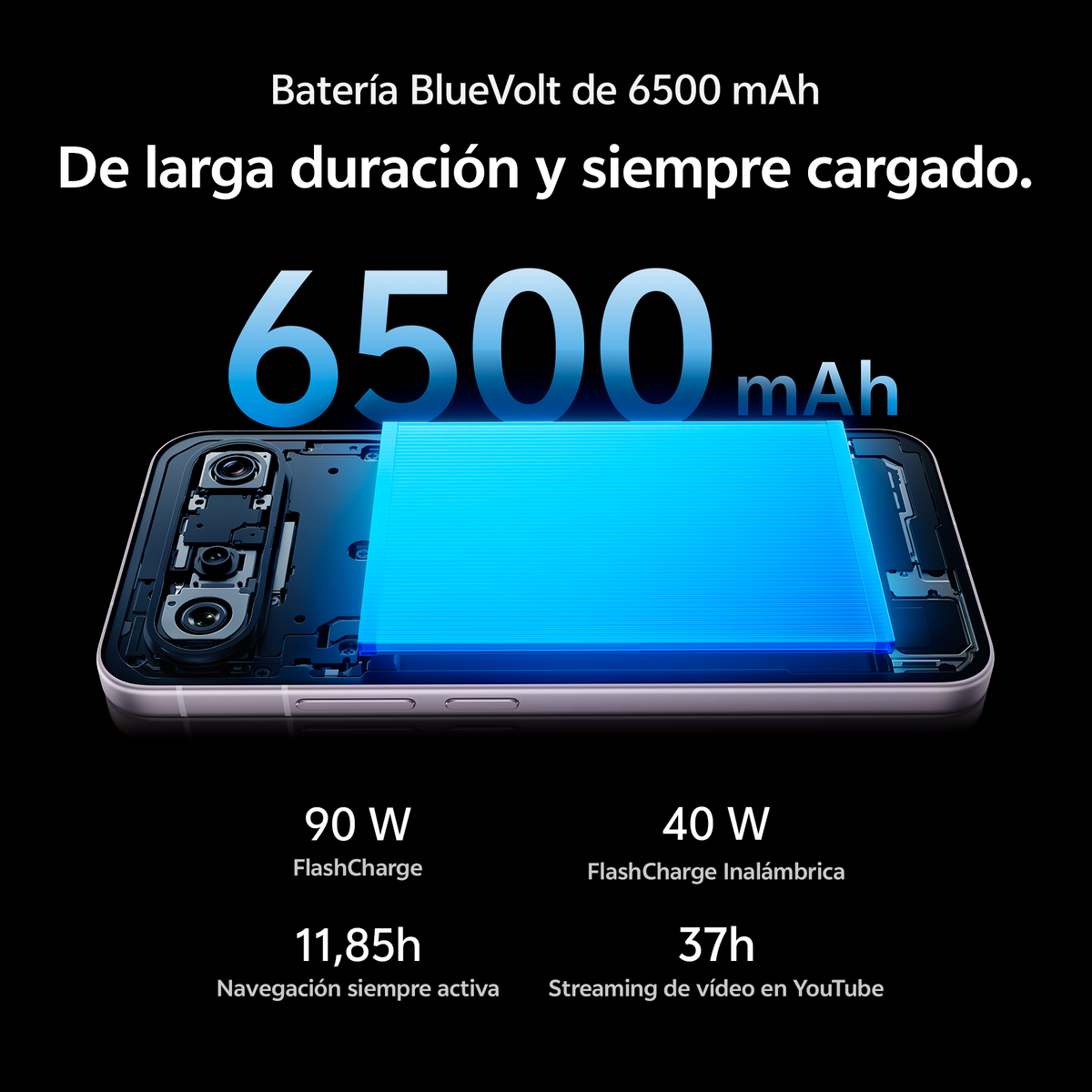vivo X300FE