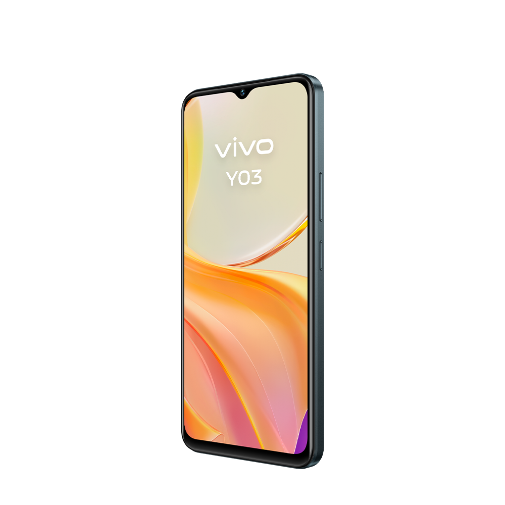 Y03